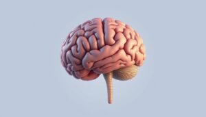 emagrecimento mental